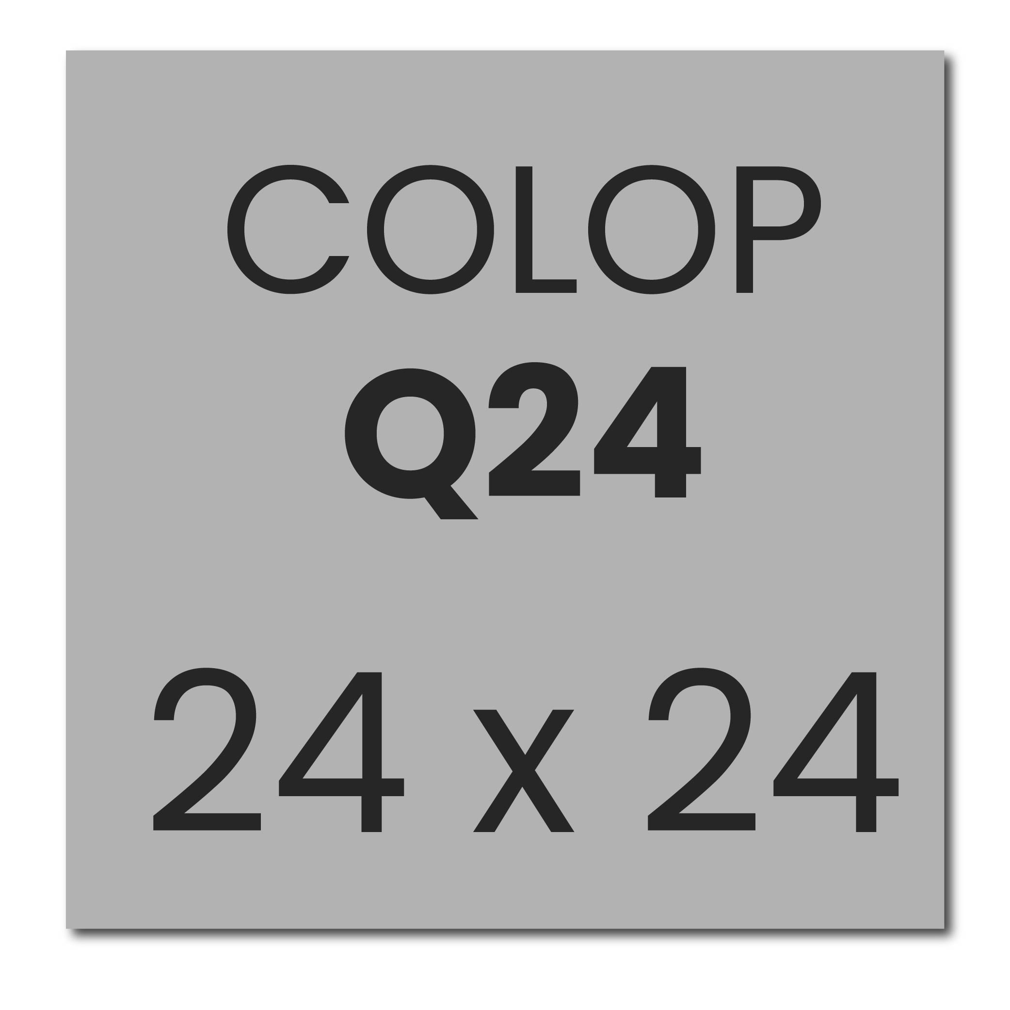 Colop Printer Q24